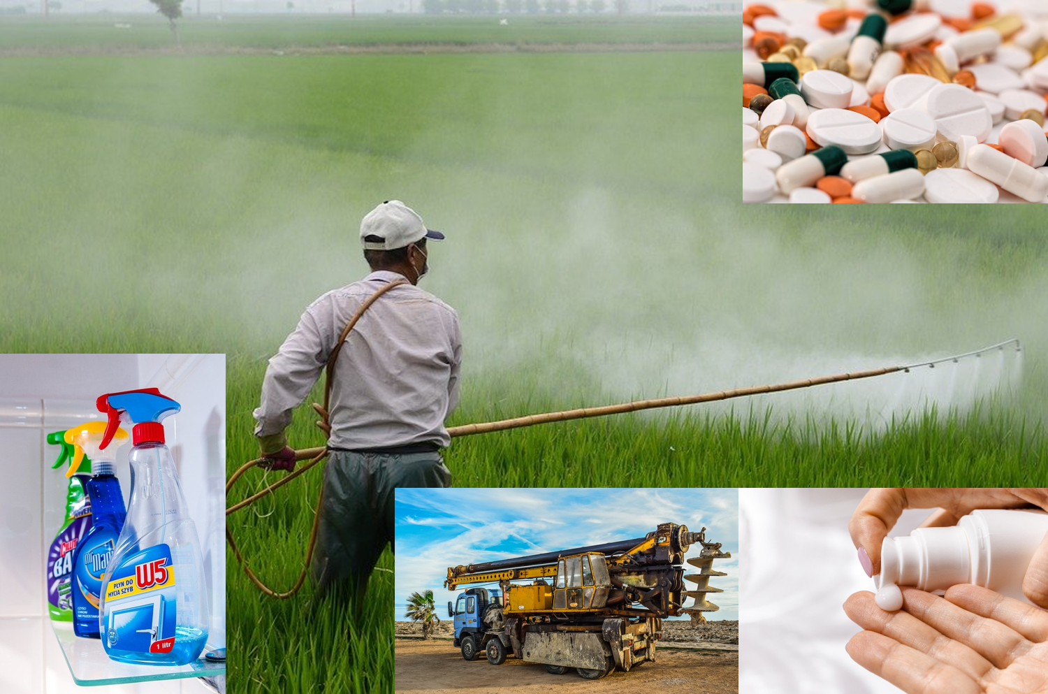 biodegradability certification